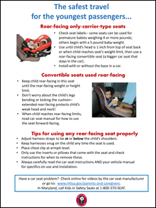 Sample Information Sheet - Safest Travel for the Youngest Passengers